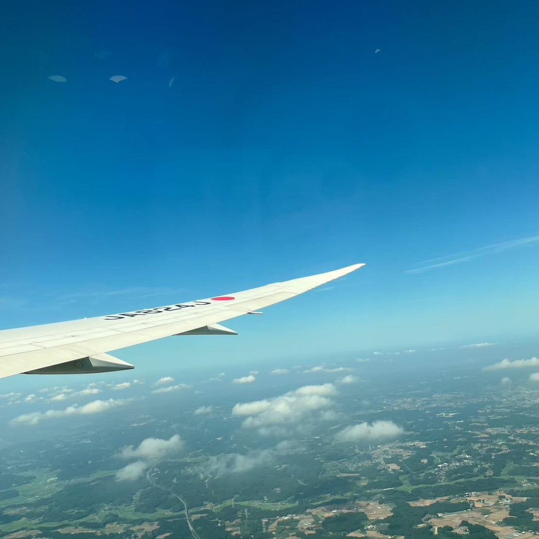 Brillarの夏がはじまる、社員旅行in韓国✈