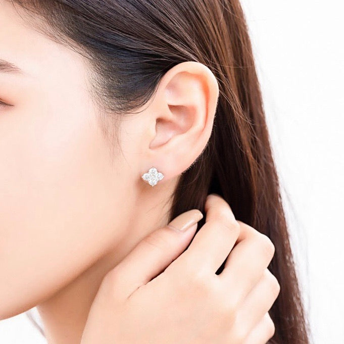 Secret Clover – Brillar